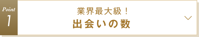 特徴1 業界最大級！出会いの数